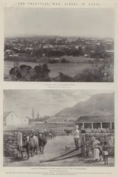 Der Transvaal-Krieg, Szenen in Natal